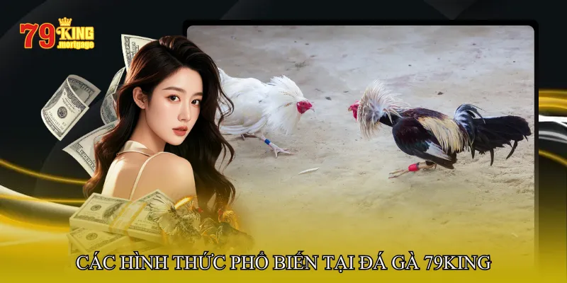 Các Hình Thức Phổ Biến Tại Đá Gà 79King