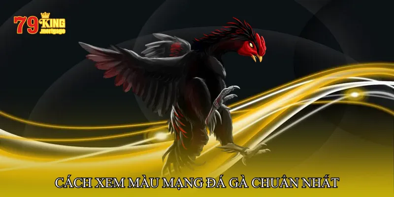 Cách Xem Màu Mạng Đá Gà Chuẩn Nhất