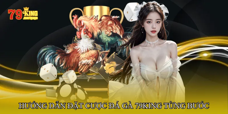 Hướng Dẫn Đặt Cược Đá Gà 79King Từng Bước