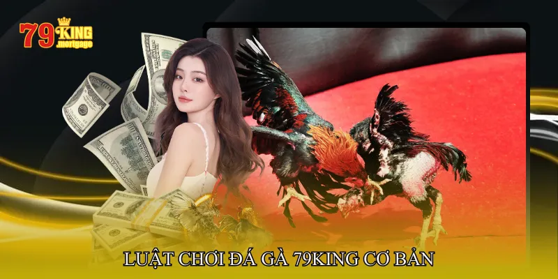 Luật Chơi Đá Gà 79King Cơ Bản