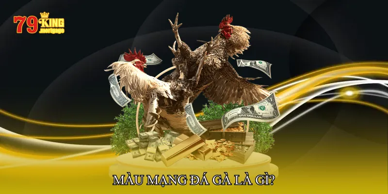 Màu mạng đá gà là gì?