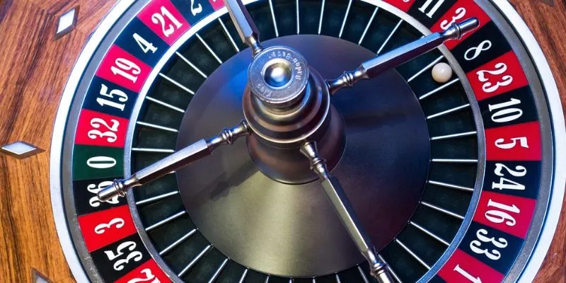 Hệ thống đem tới cho thành viên nhiều ưu đãi đặc sắc